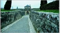 aaa