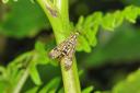 DSC07866.JPG