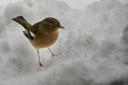 neige003.JPG