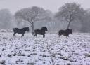 Bretagne Hiver 2006